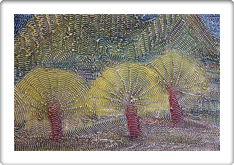 Fine Art Galleries